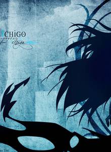 _www-wallgang-com__bleach_animation__wallpapers_1920x1080